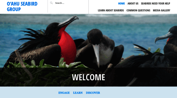 oahuseabirdgroup.org