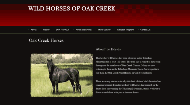 oakcreekwildhorses.com