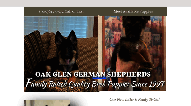 oakglenkennels.com