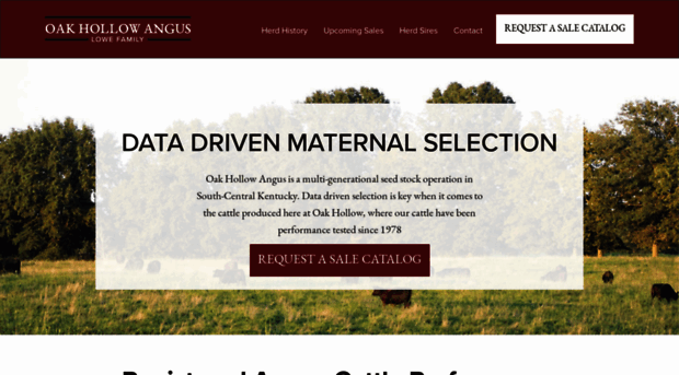 oakhollowangus.com