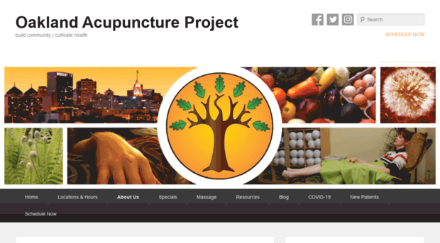 oaklandacupunctureproject.com