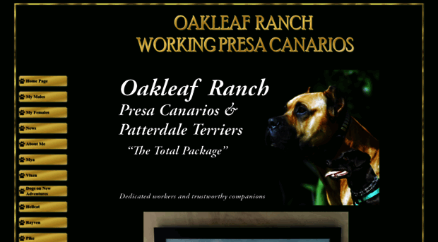 oakleafranch.com
