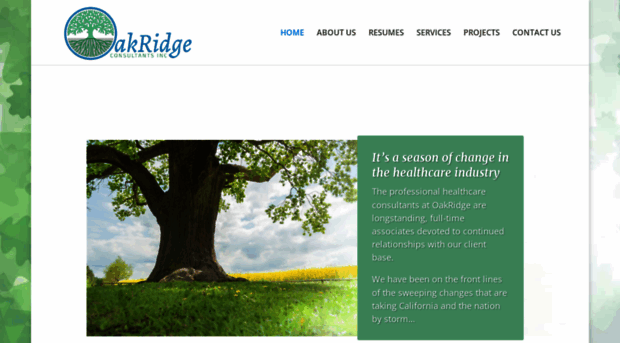 oakridgeconsultants.com