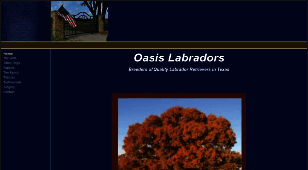 oasislabradors.com