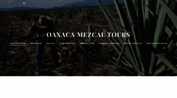 oaxacamezcaltours.com