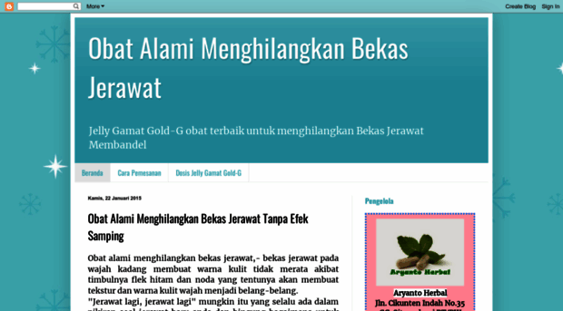 obatalamimenghilangkanbekasjerawat.blogspot.com