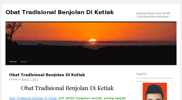 obatbenjolandiketiak01.wordpress.com