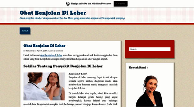 obatbenjolandileher12.wordpress.com