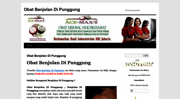 obatbenjolandipunggung88.wordpress.com