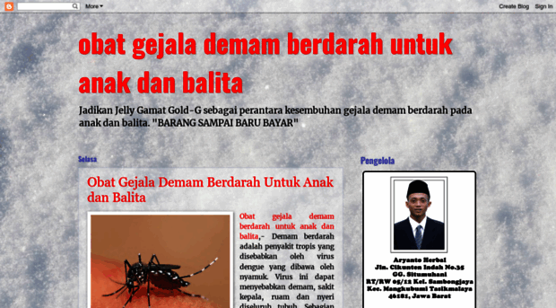 obatgejalademamberdaraanakdanbalita.blogspot.com