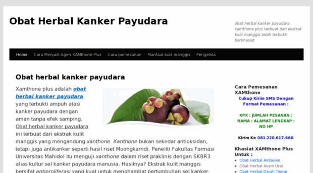 obatherbalkankerpayudara.net