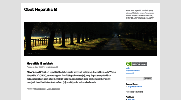 obatihepatitisb.wordpress.com