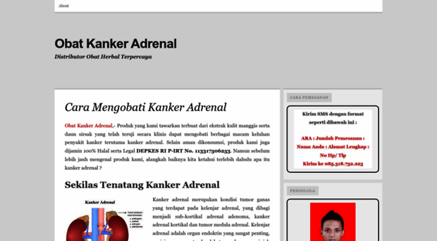 obatkankeradrenal45.wordpress.com