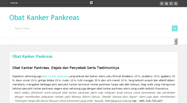 obatkankerpankreasbey.blogspot.com