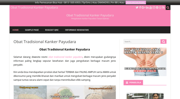obatkankerpayudaratradisional.jellygamatluxor.biz