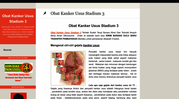 obatkankerususstadium3.wordpress.com