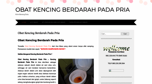 obatkencingberdarahpadapria.wordpress.com