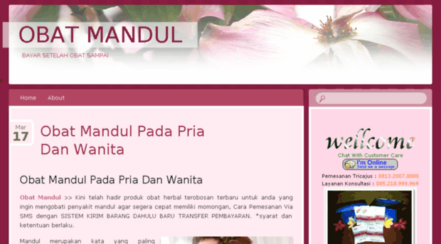 obatmandulpadapriadanwanita.wordpress.com