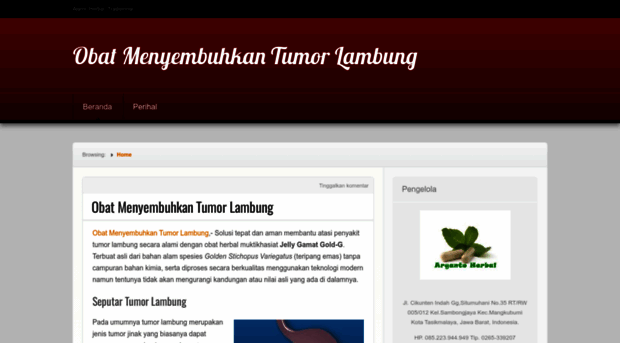 obatmenyembuhkantumorlambung.wordpress.com