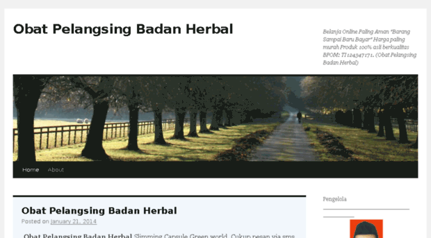 obatpelangsingbadanherbalalami.wordpress.com