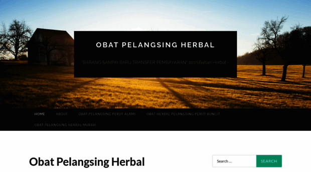 obatpelangsingherbal23.wordpress.com