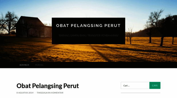 obatpelangsingperut13.wordpress.com