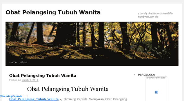 obatpelangsingtubuhwanita23.wordpress.com