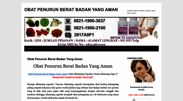 obatpenurunberatbadanyangaman229.wordpress.com