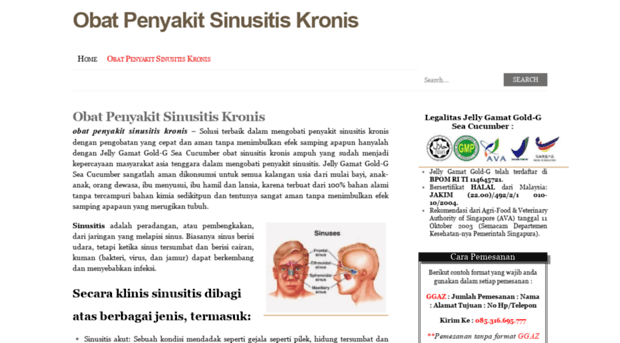 obatpenyakitsinusitiskronis.wordpress.com