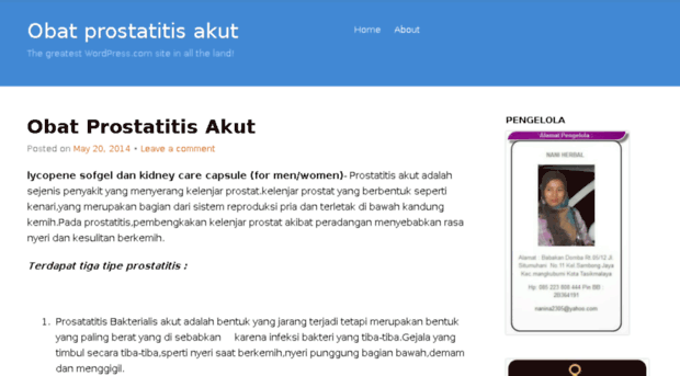 obatprostatitisakut.wordpress.com