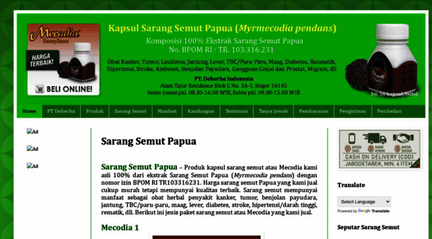 obatsarangsemutpapua.blogspot.com