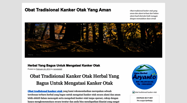 obattradisionalkankerotak20.wordpress.com