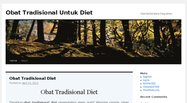 obattradisionaluntukdiet.wordpress.com