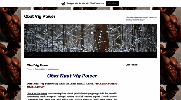 obatvigpowerblog.wordpress.com