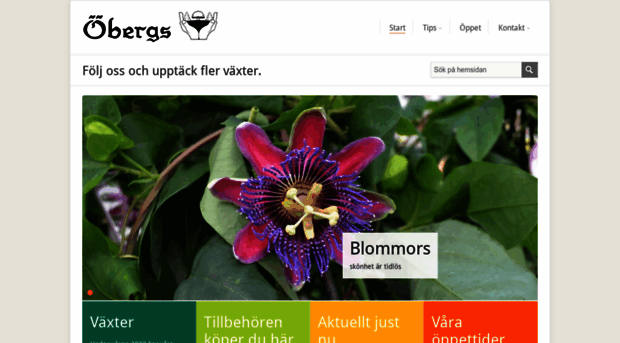 obergs.se