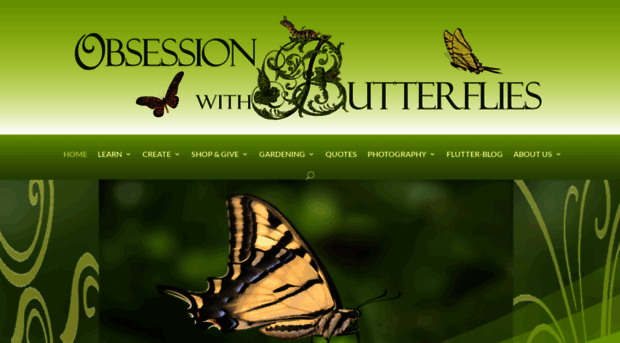 obsessionwithbutterflies.com