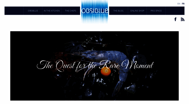 obsiblue.com