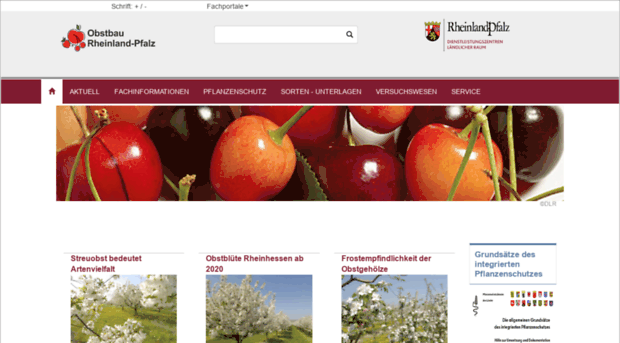 obstbau.rlp.de