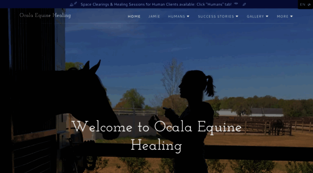 ocalaequinehealing.com