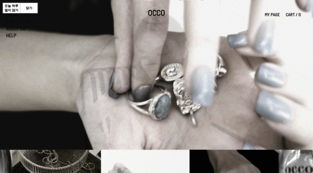 occo.kr