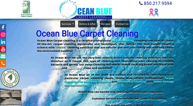 oceanblueclean.com
