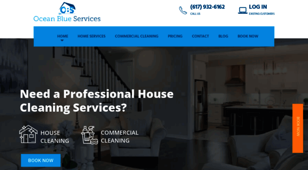 oceanblueservices.com