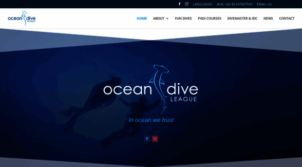 oceandiveleague.com