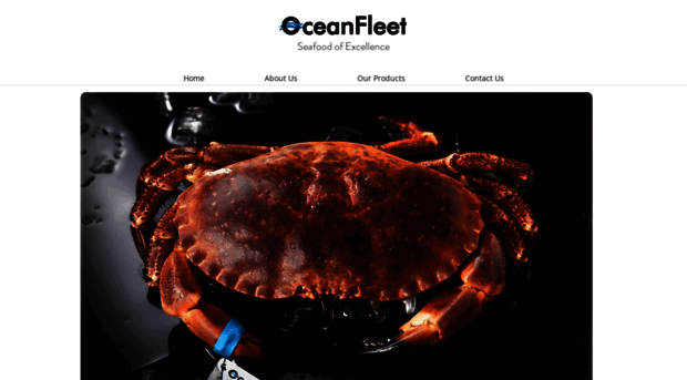 oceanfleetseafood.com