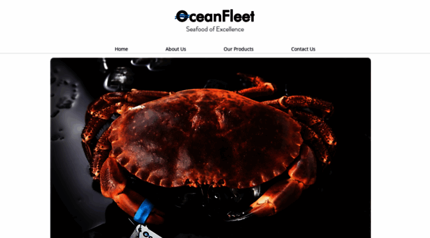 oceanfleetseafood.com