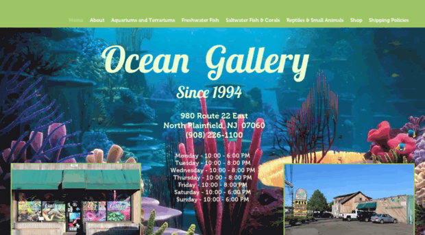 oceangallery22.com