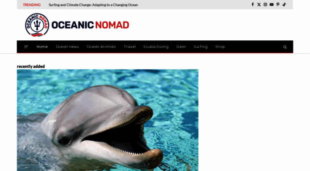 oceanicnomad.com