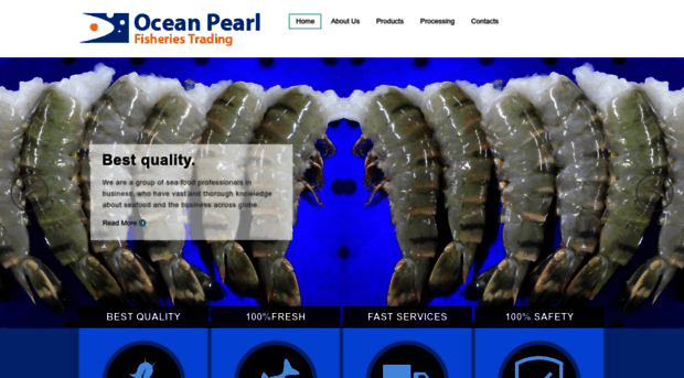 oceanpearl.in