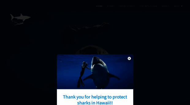 oceanramsey.com