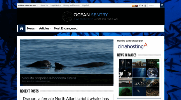 oceansentry.org